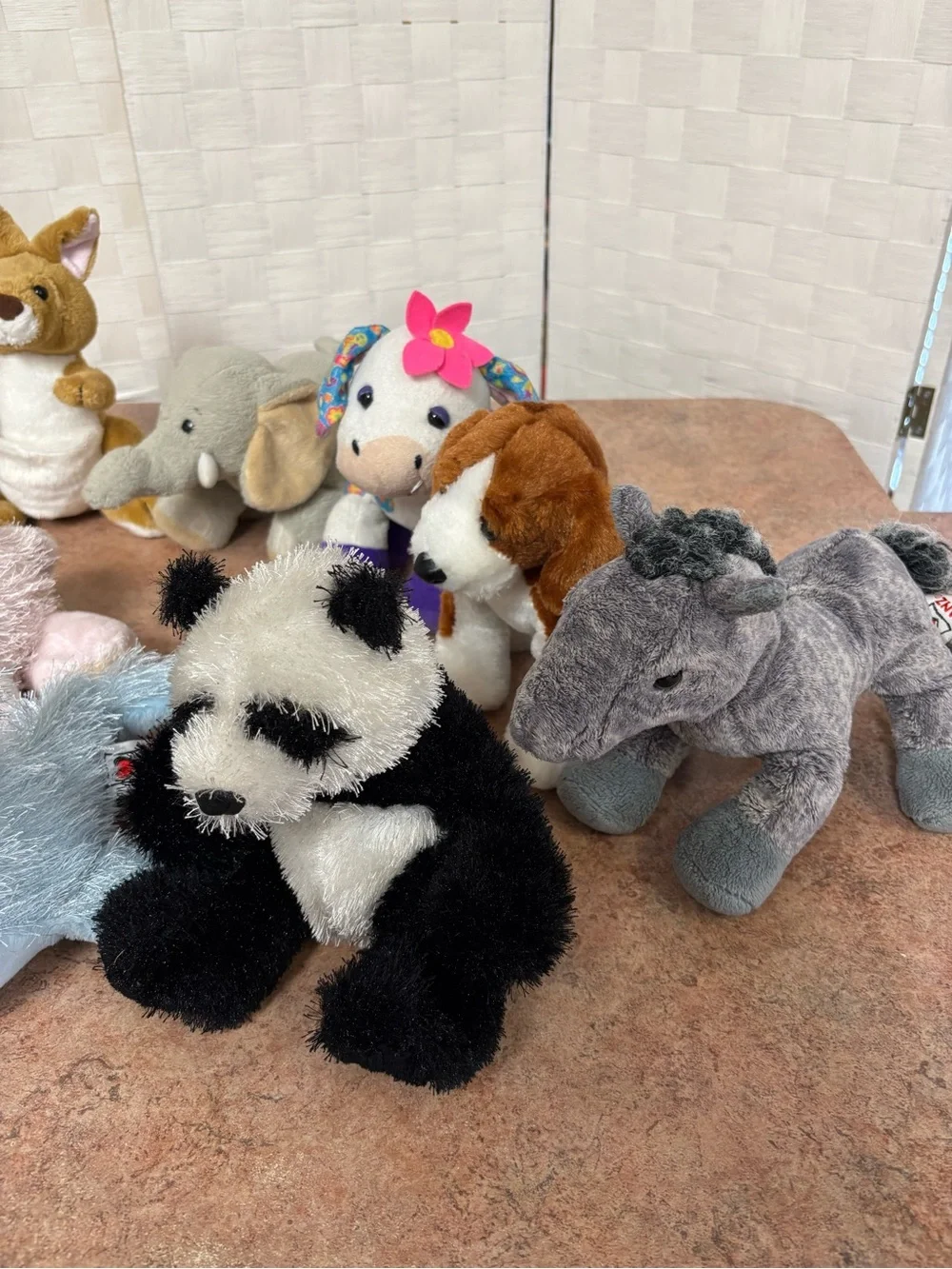 webkinz bundle 13